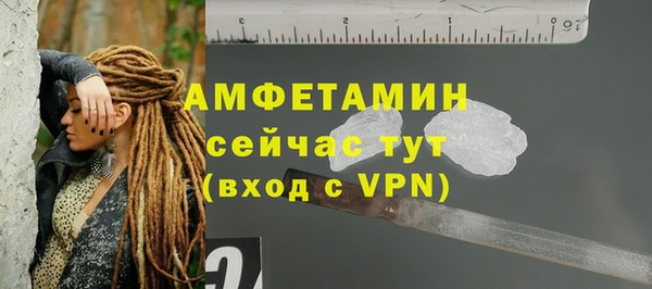 молекула духа Гатчина