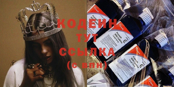ГАЛЛЮЦИНОГЕННЫЕ ГРИБЫ Осинники