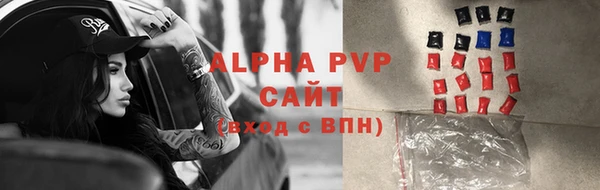 молекула духа Няндома