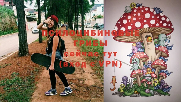 круглые Осташков