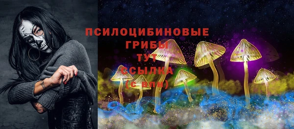 ГАЛЛЮЦИНОГЕННЫЕ ГРИБЫ Осинники