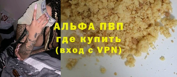 ГАЛЛЮЦИНОГЕННЫЕ ГРИБЫ Осинники