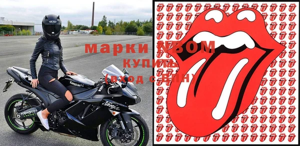 ГАЛЛЮЦИНОГЕННЫЕ ГРИБЫ Осинники