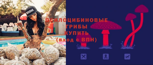 ГАЛЛЮЦИНОГЕННЫЕ ГРИБЫ Осинники